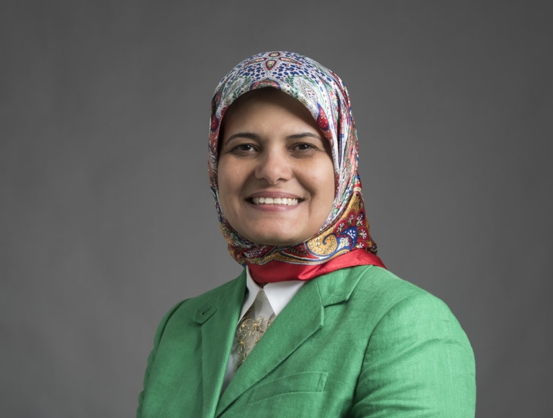 Sawsan Mokhtar Awad